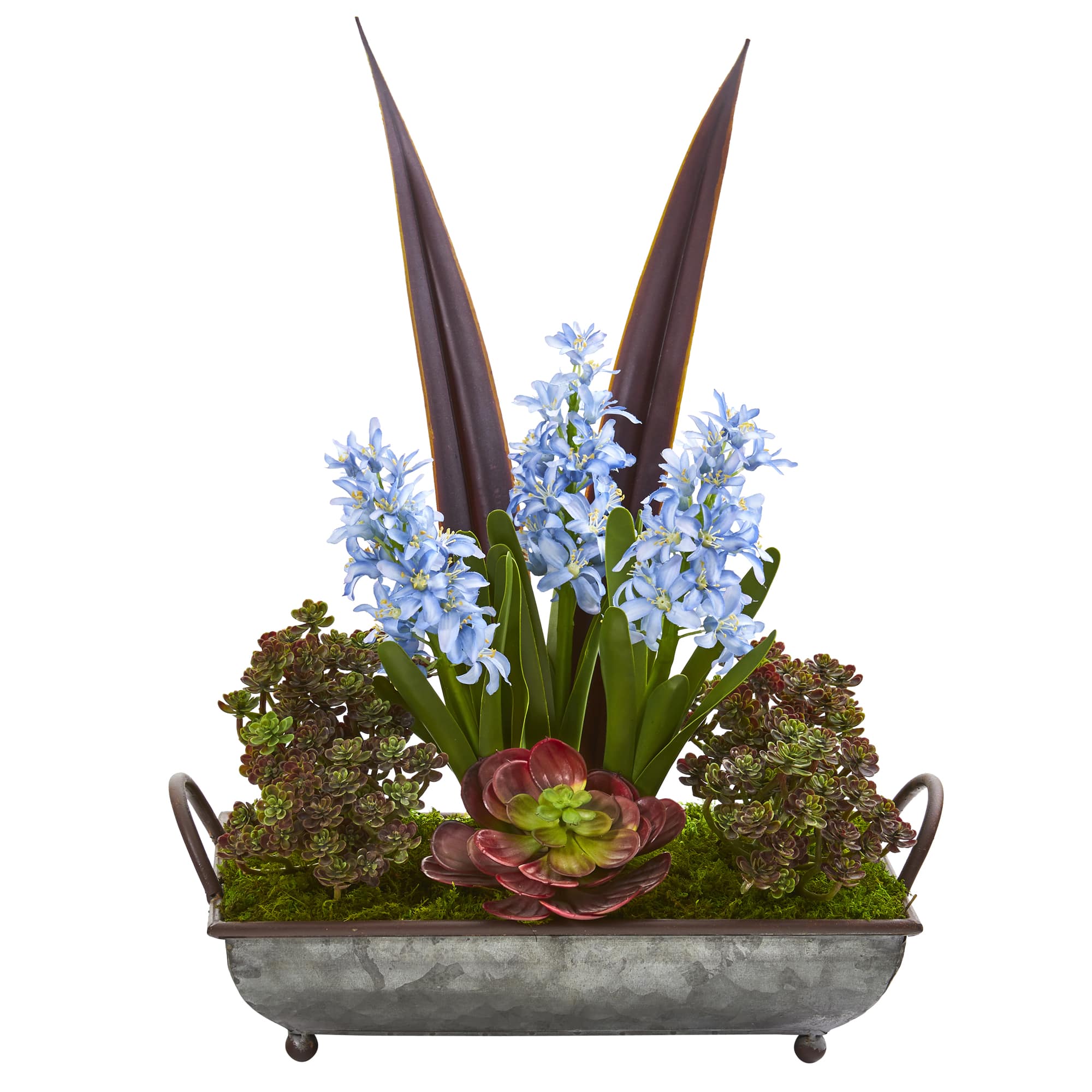 21" Hyacinth & Succulent Plant in Metal Tray